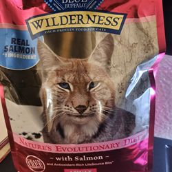 cat kibble