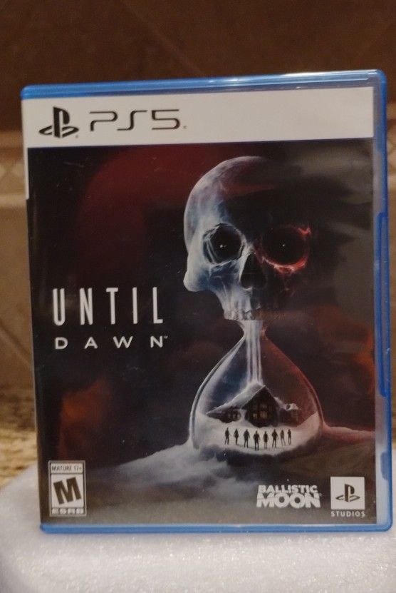 Until Dawn