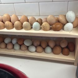 Farm Fresh Chicken Eggs Free Range