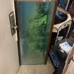 55 Gallon Fish Tank 