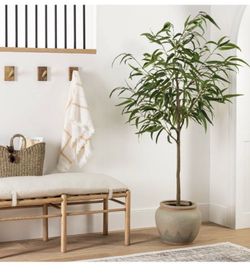 Eucalyptus Tree designed by Studio McGee - Threshold - 64 x 11