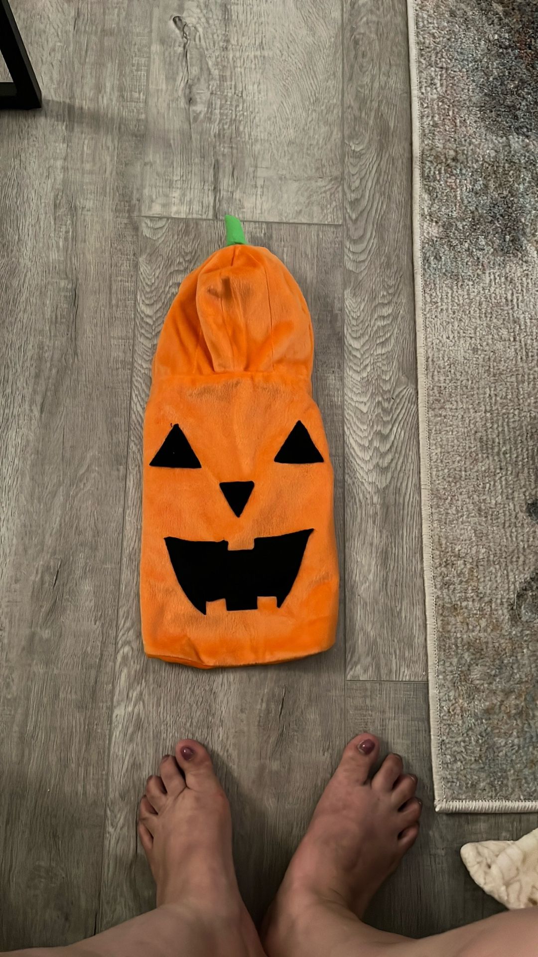 Dog Halloween Costume - π Pumpkin Extra Small