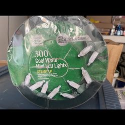 Home Accent Holiday- White Led Mini Lights