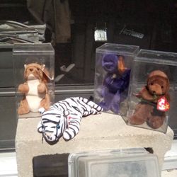 I Have Some Collection Beanie Babies 