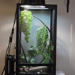 Chameleon Enclosure 