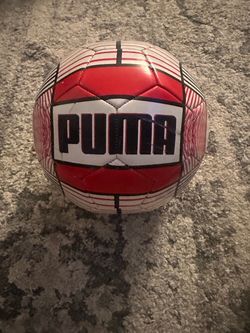 Puma ball