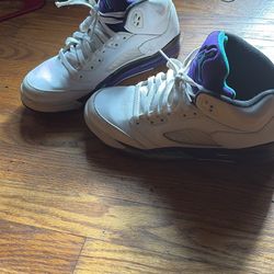 Grape Jordan 5s