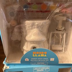 Paint Your Own Model Kit