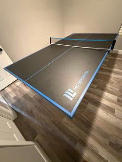 Ping Pong Table