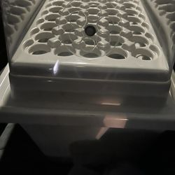 Grow your own  all you need is light n seeds