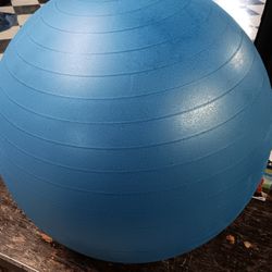 Reebok Exersize Yoga Ball