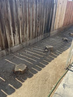 Stump Grinding 