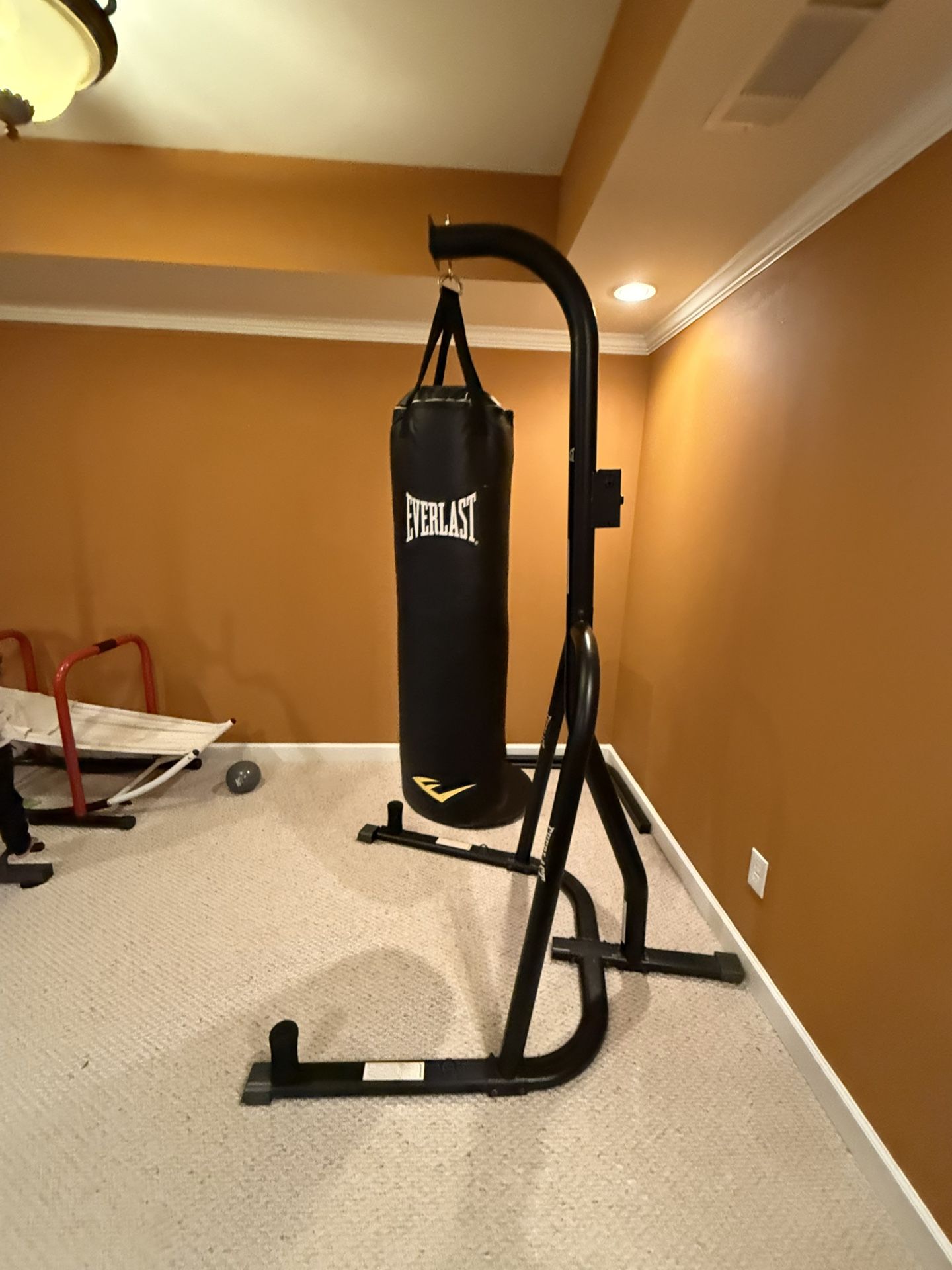 Everlast Punching Bag and Stand 