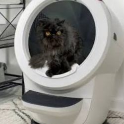 Robot four litter box