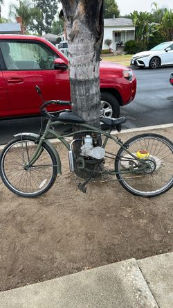 Showing beach cruiser