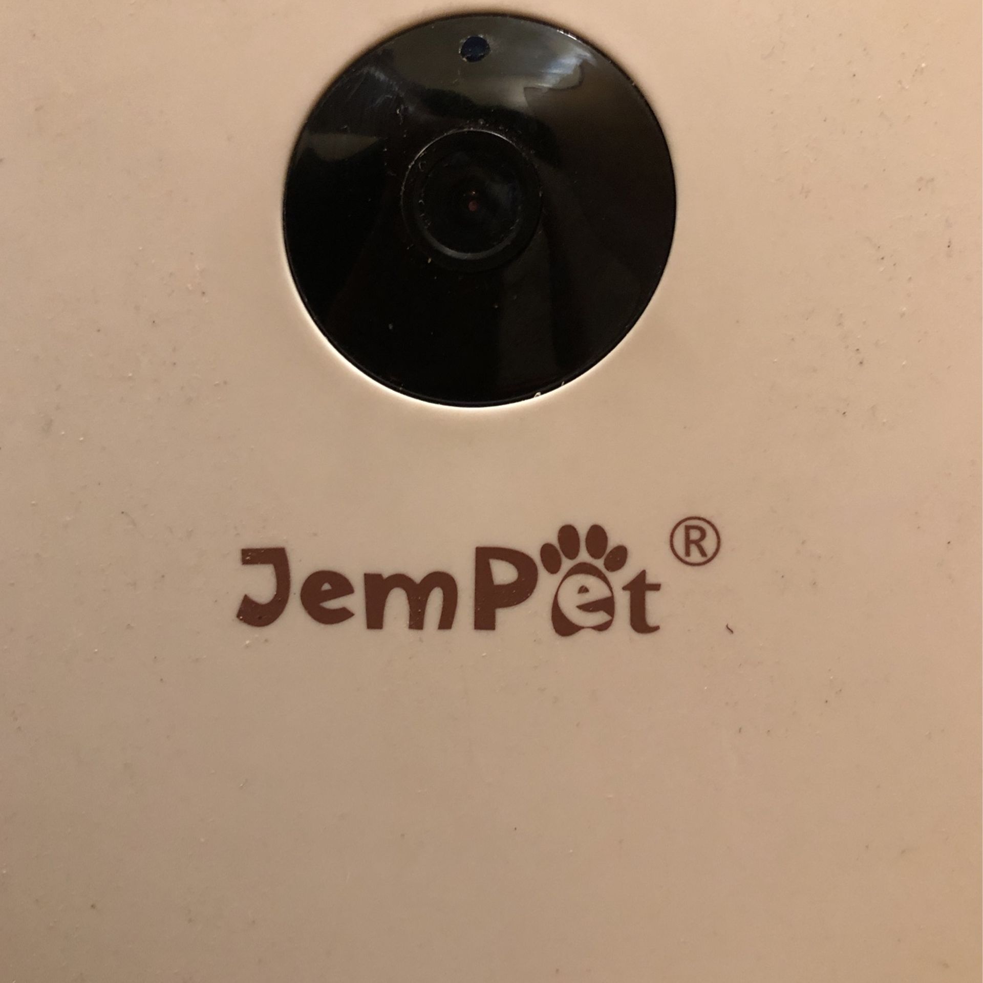 Jem store pet feeder