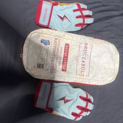 Bruce Bolt Batting Gloves 