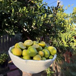 Real Lemons 60 Count