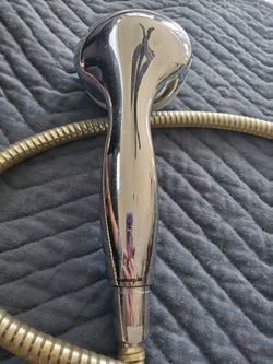 Waterpik shower head