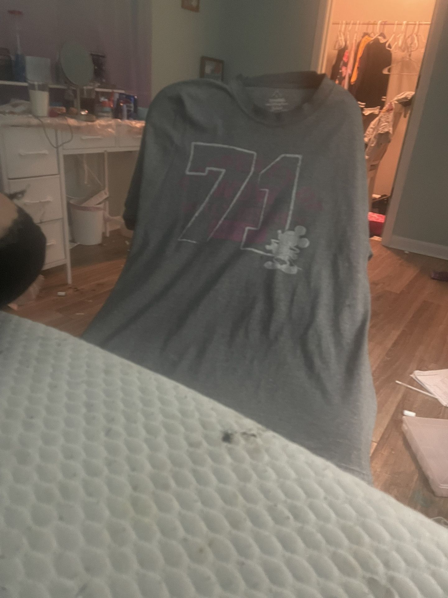 Gray Disneyland Shirt