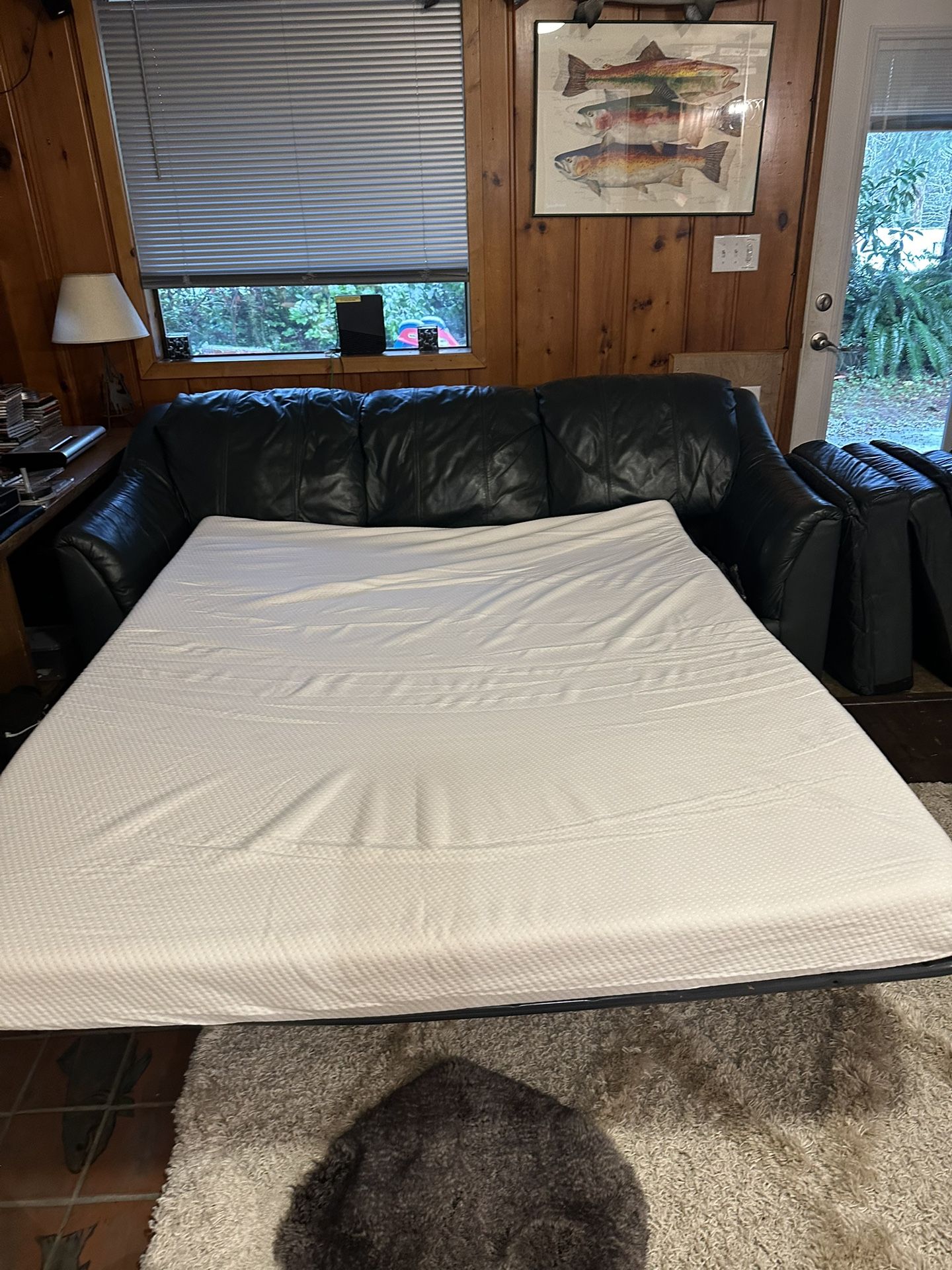 Free Sleeper Sofa And Chair