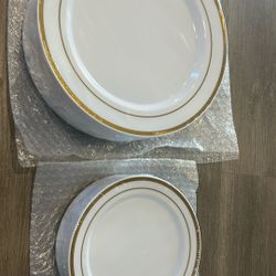 Plastic Plates 10-1/2 And 7’ Inch 