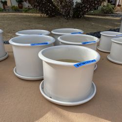White Ceramic Pots With Attached Saucers In 2 Sizes  1.0  and 0.5 Gallon