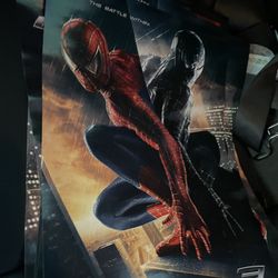 Spider man 3 cover Poster