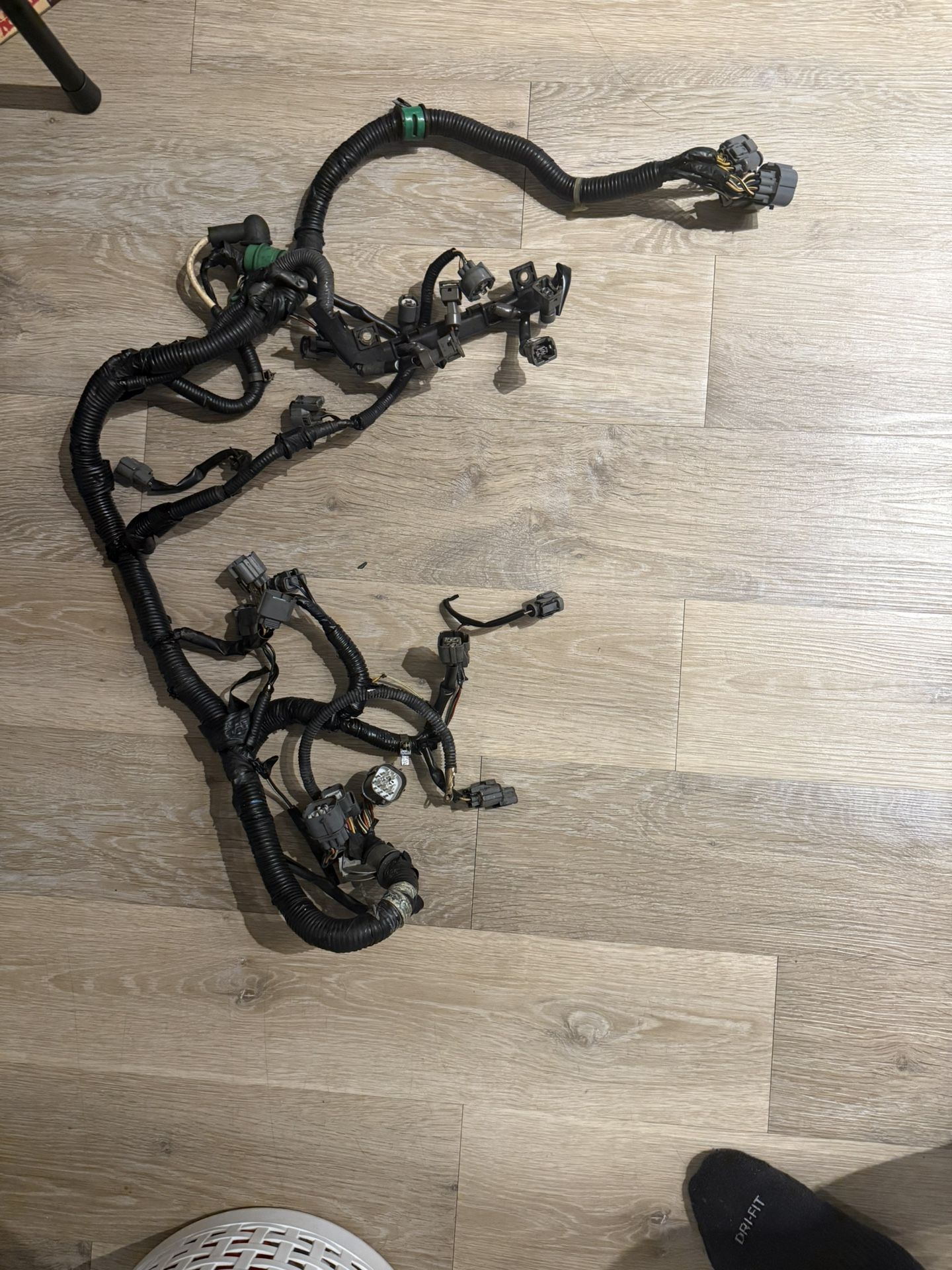 B20B Wiring Harness