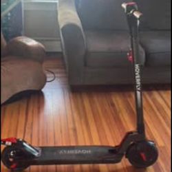 Hoverfly Electric Scooter 