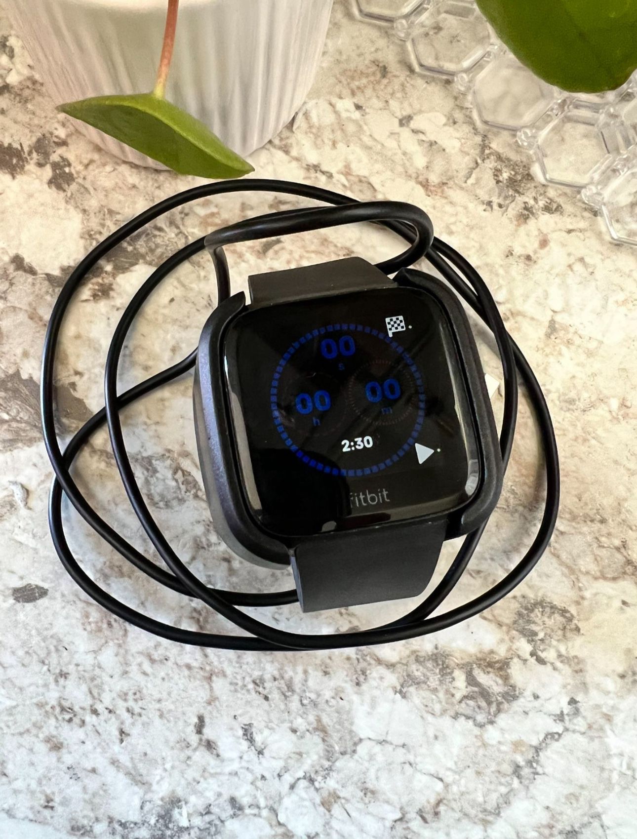 Fitbit With Charger 