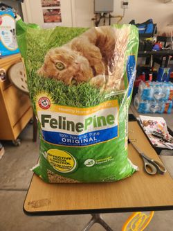 Cat Litter