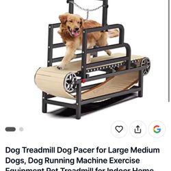 New in Box Large Dog Treadmill