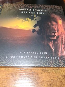 2021 Animals of Africa-African Lion
