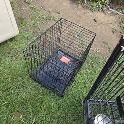 Dog Kennel