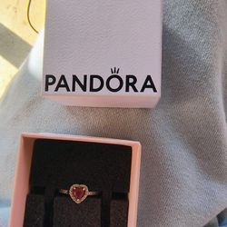 Sterling Silver Pandora Ring 
