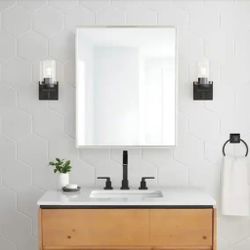 Glacier Bay 24 in. W X 30 in. H Rectangular Brushed Nickel Medicine Cabinet with Mirror 