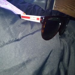Gucci Sunglasses Brand New 