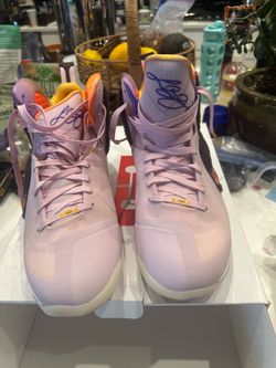 Nike LeBron James IX in pink and brown fur