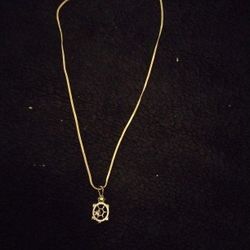 Gold PLATED TURTLE NECKLACE WITH CHARM