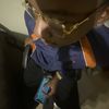 Kishun
