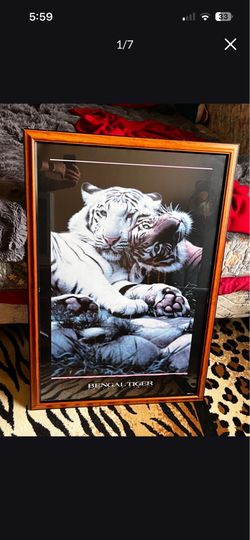 Vintage framed tiger wildlife print set of 6
