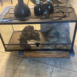 40 Gallon Reptile Tank Need Gone ASAP!!!