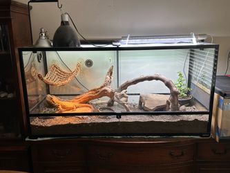 Terrarium