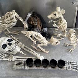Bundle of Halloween Decorations Animal Skeletons Figurines & Skeleton Hand Arm Shot Glasses