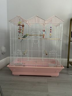 Bird cage Perfect Condition Bonus Items