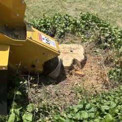 Stump Grinding,