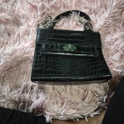 Black Snake Skin Purse 