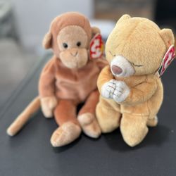 Ty Hope 1998 And Bongo  1995 