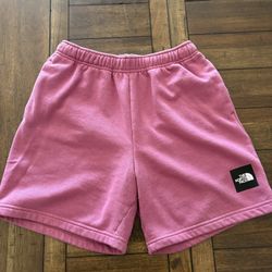 MEN'S THE NORTH FACE NEVER STOP SHORTS RED VIOLET FLEECE SWEATS 